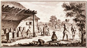 Beekeeping, from Dictionary of Sciences (detail) by Denis Diderot